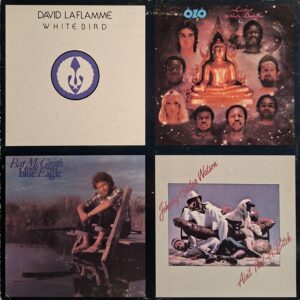 Compilation 11 tracce funk, soul, rock- incl. Hit afro funk ANAMBRA-OZO
