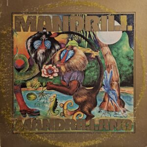MANDRILLAND ( incl. positive thing, the road to love, el funko, folks on a hill, etc. )