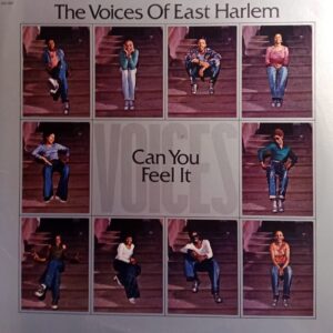 CAN YOU FEEL IT ( incl. title track, amazing love, jimmy joe lee, etc. )