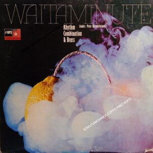 WAITAMINUTE ( incl. mr. clean, green witch, wild chick, modus vivendi, etc. )
