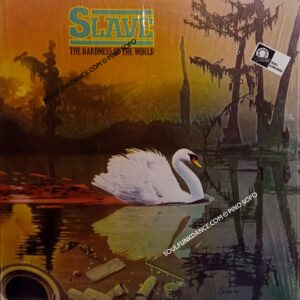THE HARDNESS OF THE WORLD ( incl. baby sinister, the party song, volcano rapture, & other good funk track )