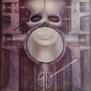 BRAIN SALAD SURGERY  ( prog. rock )