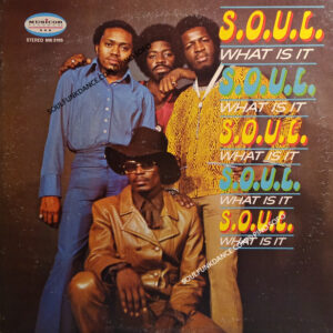 WHAT IT IS ( incl. soul, express yourself, message from a black man, etc. )