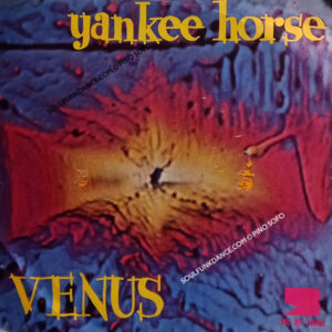 VENUS / WHO NEEDS LOVE