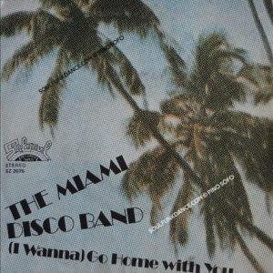 ( I WANNA ( GO HOME WITH YOU / INSTRUMENTAL VERSION