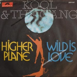 HIGHER PLANE / WILD IS LOVE