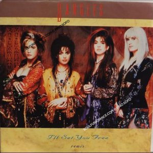 I'LL SET YOU FREE ( REMIX ) / WATCHING THE SKY