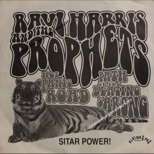 HOT PANTS ROAD-( James Brown ) / PATH OF THE BLAZING SARONG