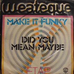 MAKE IT FUNKY / DID YOU MEAN MAYBE