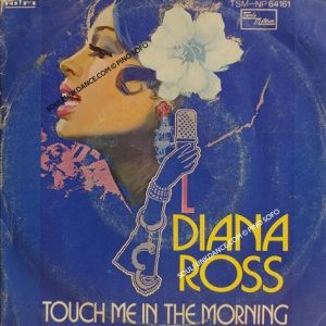 TOUCH ME IN THE MORNING / I WON'T LAST A DAY WITHOUT YOU