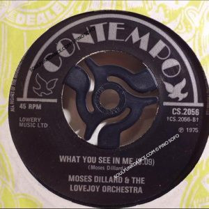 WHAT YOU SEE IN ME / THEME FROM LOVEJOY