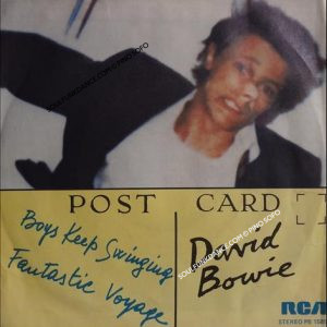 BUYS KEEP SWINGING / FANTASTIC VOYAGE