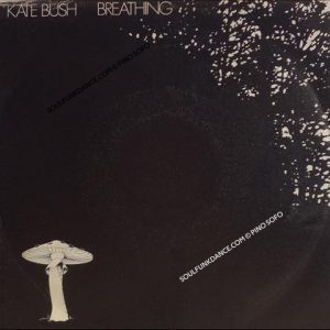 BREATHING / THE EMPY BULLRING
