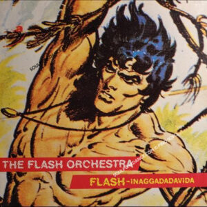 FLASH- INAGGADADAVIDA- min. 7:20 / INSTRUMENTAL VERSION