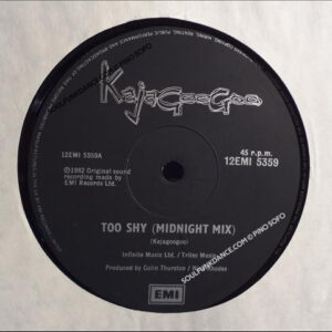 TOO SHY/ TAKE ANOTHER VIEW