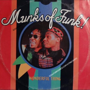 WONDERFULTHING / 3 VERSION