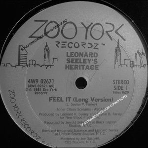 FEEL IT / VERS. STRUM. ( great funky dance track )