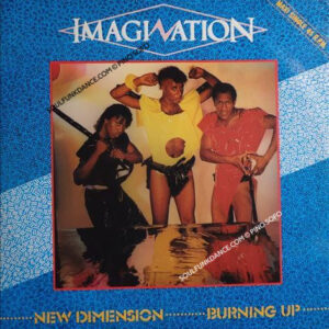 NEW DIMENSION / BURNING UP ( DUB )