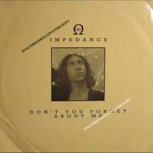 DON'T YOU FORGET ABOUT ME / DUB VERSION / TO THE BONE