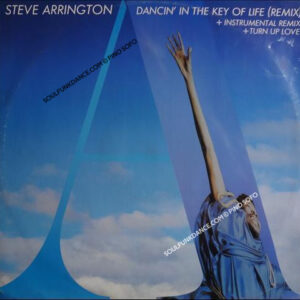 DANCIN' IN THE KEY OF LIFE remix / INSTRUM. remix / TURN UP LOVE