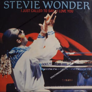 I JUST CALLED TO SAY I LOVE YOU / INSTRUMENTAL