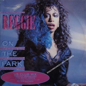 ON THE PARK / DUB VERS. / INTO THE GROOVE
