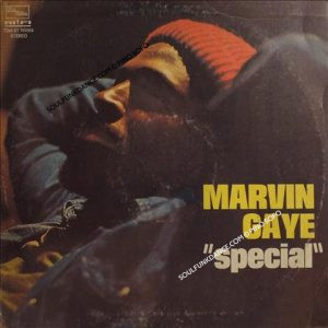 SPECIAL ( incl. inner city blues, let's get it on, what's going on, keep gettin' it on, etc. )