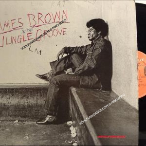IN THE JUNGLE GROOVE ( incl. it's a new day, funky drummer, soul power, etc. )