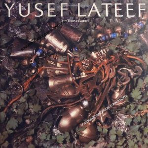 IN A TEMPLE GARDEN ( jazz fusion )