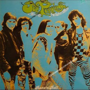 RANE 'N' ROLL ( italian hard rock punk album )