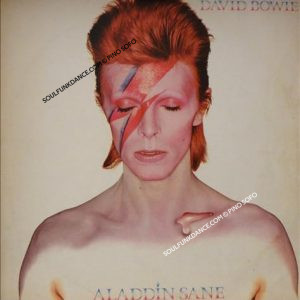 ALADDIN SANE ( cont. the jean genie )