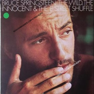 THE WILD THE INNOCENT AND THE E STREET SHUFFLE