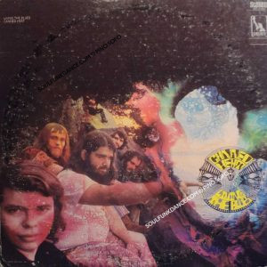 LIVIN' THE BLUES ( incl. pony blues & boogie music )