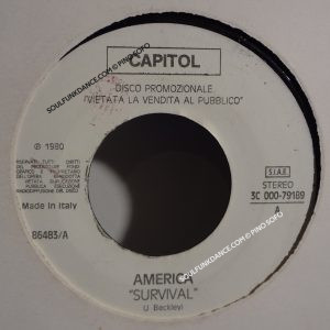 SURVIVAL ( pop disco ) / TU STAI ( italo disco )
