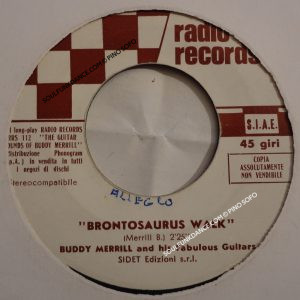 BRONTOSAURUS WALK ( pop beat guitar ) / NATHALIE ( ottimo slow pop )