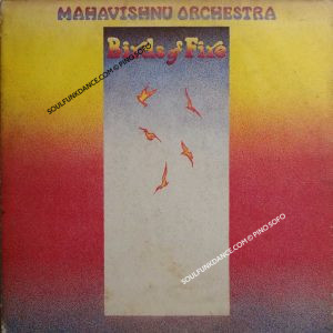 BIRDS OF FIRE ( rock jazz fusion )