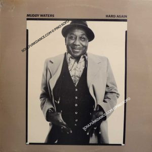 HARD AGAIN ( chicago blues )