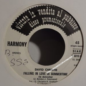 FALLING IN LOVE IN SUMMERTIME/ FALLING IN LOVE IN SUMMERTIME