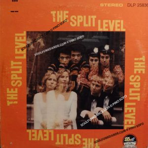 SAME ( pop rock country psychedelic )
