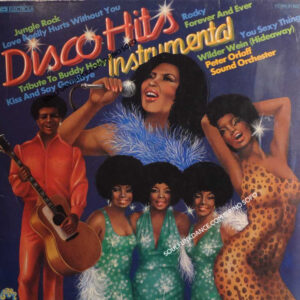 DISCO HITS INSTRUMENTAL