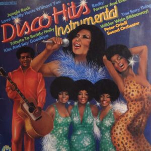 DISCO HITS INSTRUMENTAL ( cont. you sexy thing )