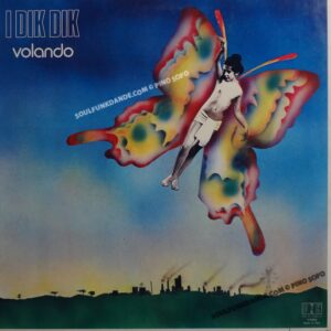 VOLANDO ( incl. futuro presente & volando )