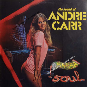 SALSA SOUL ( incl. island man, mr. hit man, soulfull strut, virginia, etc. )