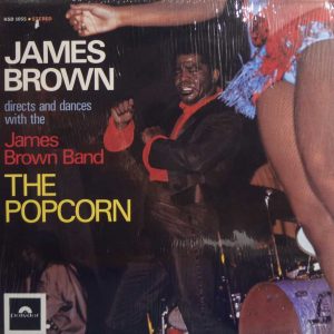 THE POPCORN ( incl. title track, in the middle, soul pride, sudsy, the chicken, etc. )