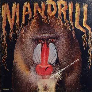 MANDRILL ( cont. mandrill, warning blues, movement v, symphonic revolution, etc. )
