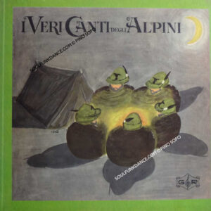 I VERI CANTI DEGLI ALPINI ( cofanetto libro di cartone grosso, 3 LP, 3 pagine di introduzione, 30 canzoni )