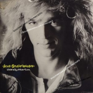 LOVE SYNCHRONICITY / DUB VERSION