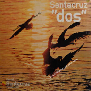 SENTACRUZ: DOS' ( incl. lunaris, to love music, aguador, dreamin' together, the lion sleeps tonight, e.a.rio, banana boat, etc. )