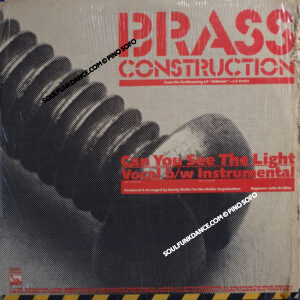 CAN YOU SEE THE LIGHT / INSTRUM. VERS.