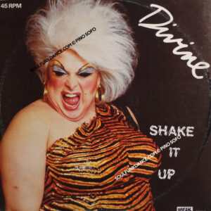 SHAKE IT UP/ INSTRUMENTAL VERSION